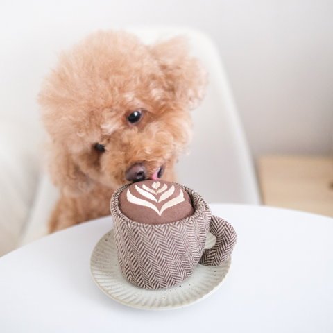 LATTE POP // ENRICHMENT DOG TOY // Squeaky Ball