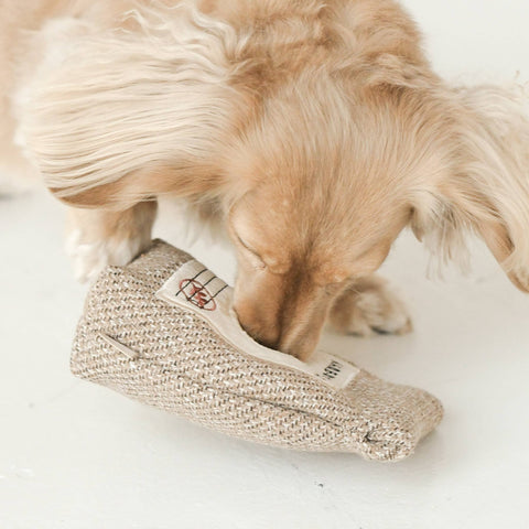 Coffee Beans // ENRICHMENT DOG TOY // Squeaky + Snuffle