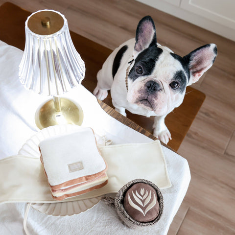 LATTE POP // ENRICHMENT DOG TOY // Squeaky Ball