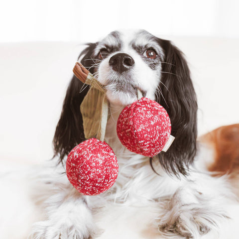 CHERRY POP // ENRICHMENT DOG TOY // Squeaky + Snuffle
