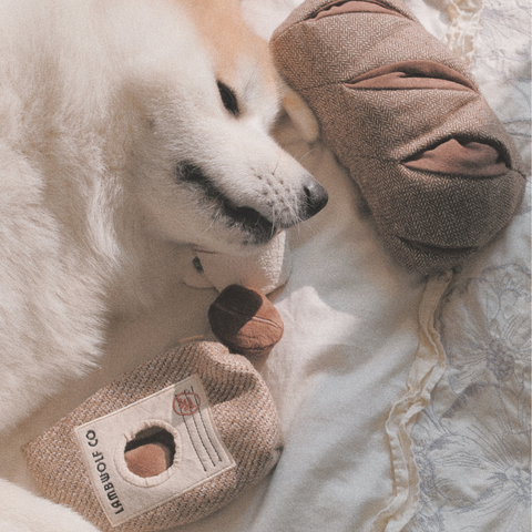 Coffee Beans // ENRICHMENT DOG TOY // Squeaky + Snuffle