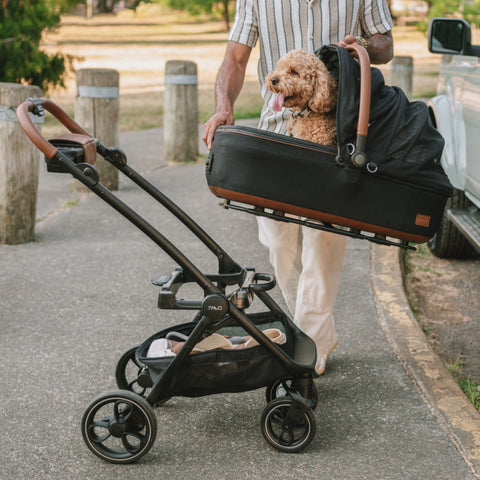 Tavo Maeve Rigid Handle Dog Car Seat & Pet Carrier with ISOFIX Base