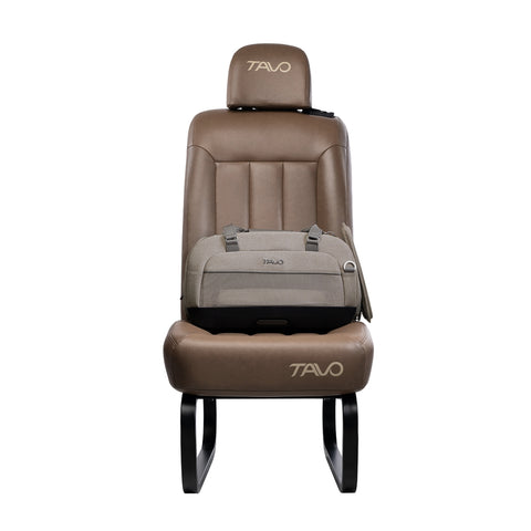 Tavo Dupree Pet Car Seat & Airline Travel Carrier