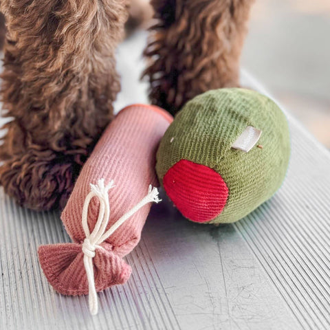 Olive + SALAMI // ENRICHMENT DOG TOY // Squeaky Toy Set