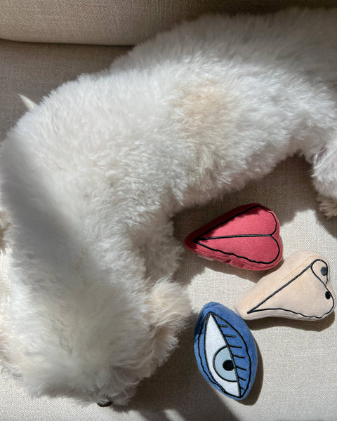 PICASSO // ENRICHMENT DOG TOY // Snuffle Set