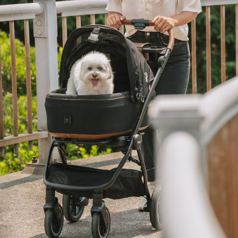 Tavo Maeve Flex Handle Dog Car Seat & Pet Carrier with ISOFIX Base