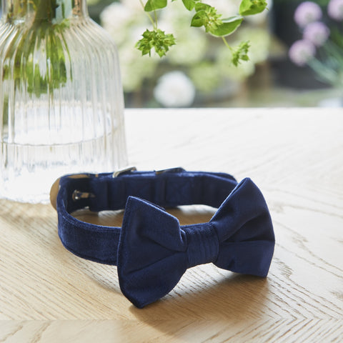 Velvet Bow Tie