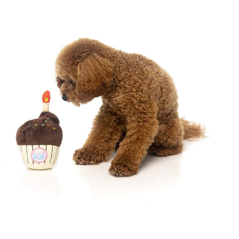 Birthday Cupcake - Plush Dog Toy