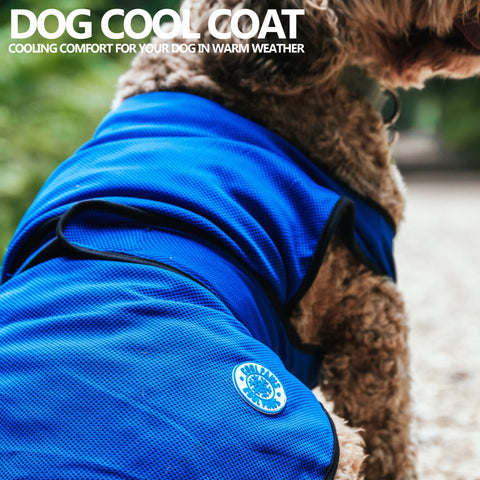Cooling Dog Coat