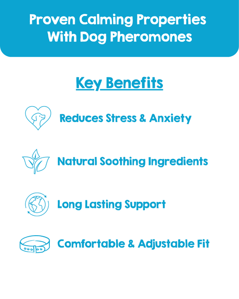 PAWD Calming Collar (Small)