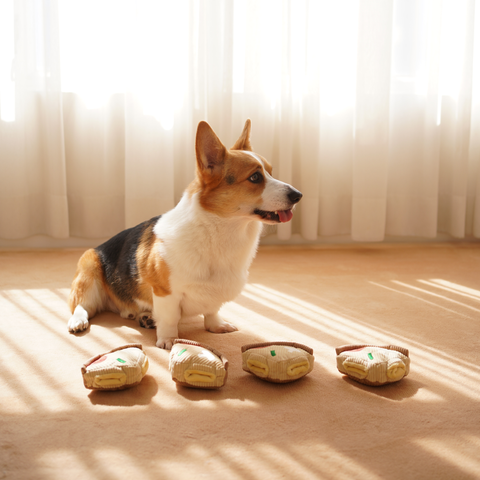 DEEP DISH PIZZA // ENRICHMENT DOG TOY // Squeaky + Snuffle