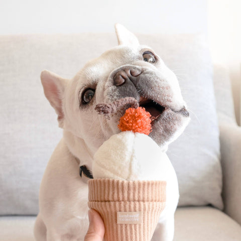 ICE CREAM POP // ENRICHMENT DOG TOY // Squeaky + Snuffle
