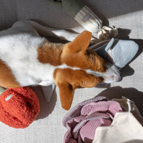 PEPPER // Enrichment Dog Toy // Snuffle
