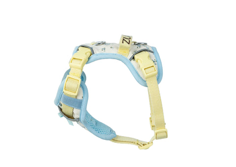 Chelsea Everyday Harness
