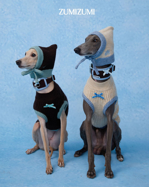Pet Balaclava - Brown/Mint