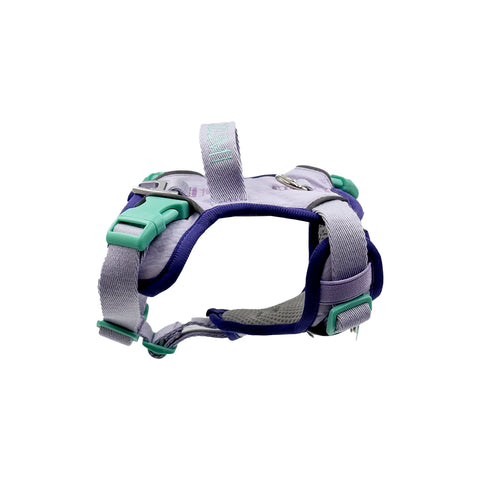 Chelsea Taro Pie Harness