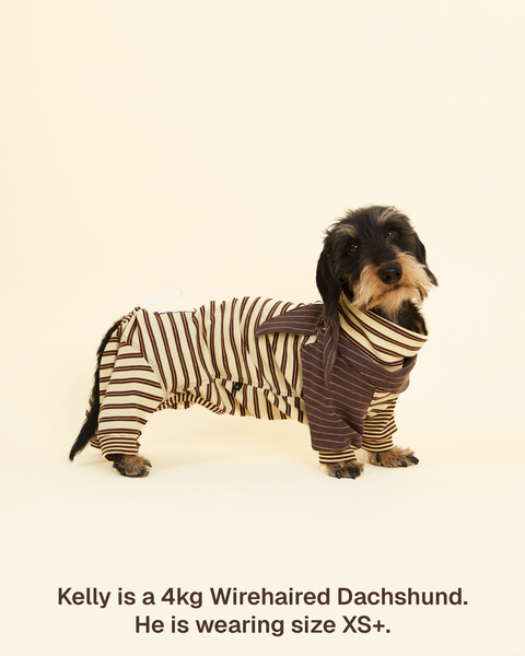 Canelé Striped Dog Onesie