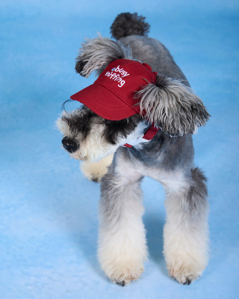 Baseball Cap