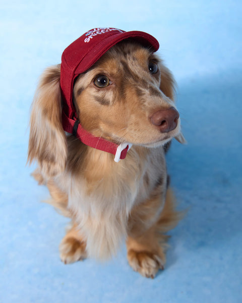Baseball Cap