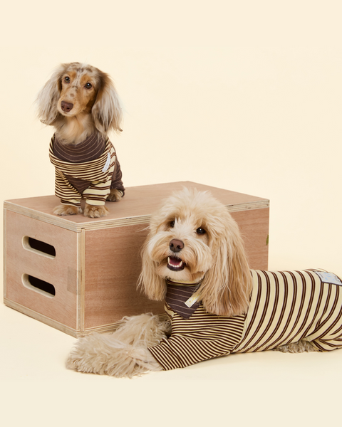 Canelé Striped Dog Onesie