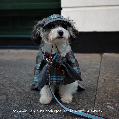 Sherlock Plaid Newsboy Cap