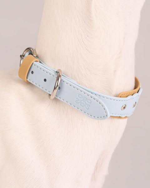 Scalloped Leather Collar