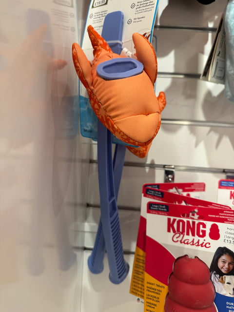 Flingers Splash Shark