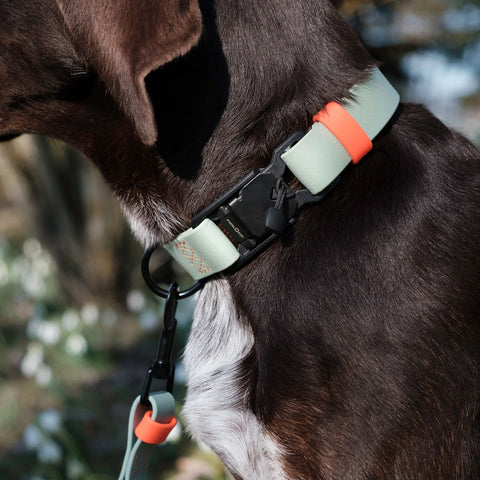 Ipanema BioThane Collar