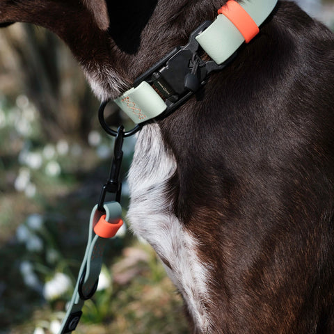 Ipanema Adjustable BioThane Leash