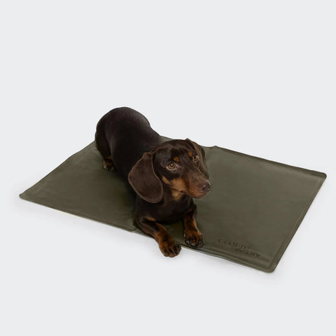 Dog Cooling Mat AKTIV7