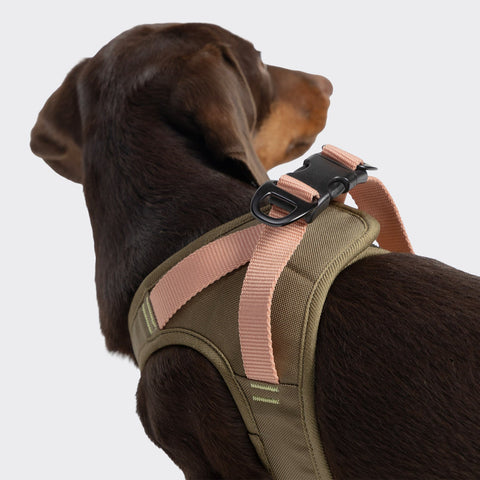 V-2 Vest Harness AKTIV Cordura