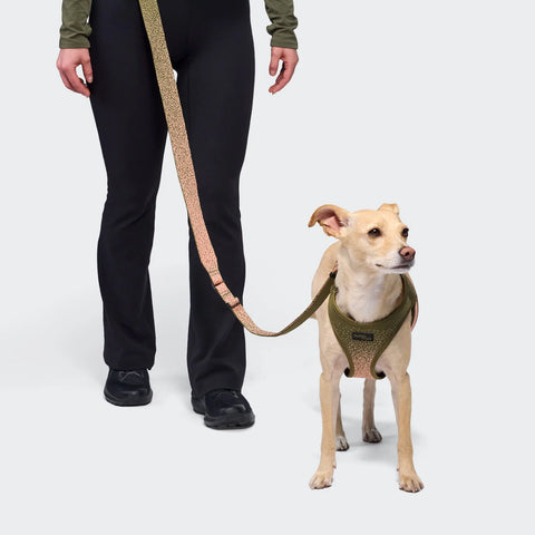 V-3 Harness Knit AKTIV