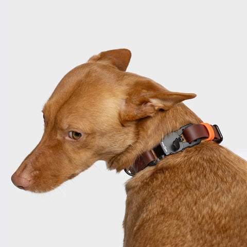 Ipanema BioThane Collar