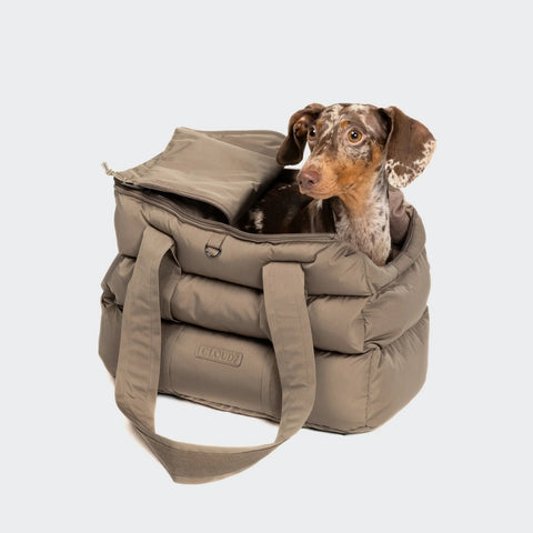 Montreal Dog Carrier