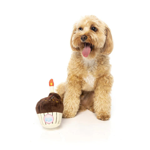 Birthday Cupcake - Plush Dog Toy