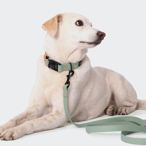 Ipanema BioThane Collar