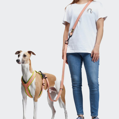 L-1 Hands-Free Leash AKTIV