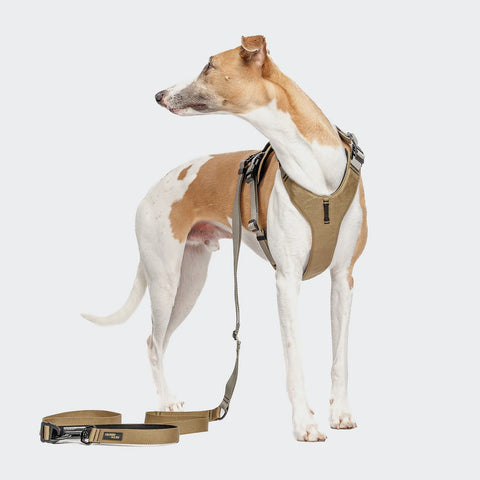 L-1 Hands-Free Leash AKTIV
