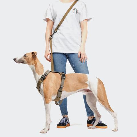 L-1 Hands-Free Leash AKTIV