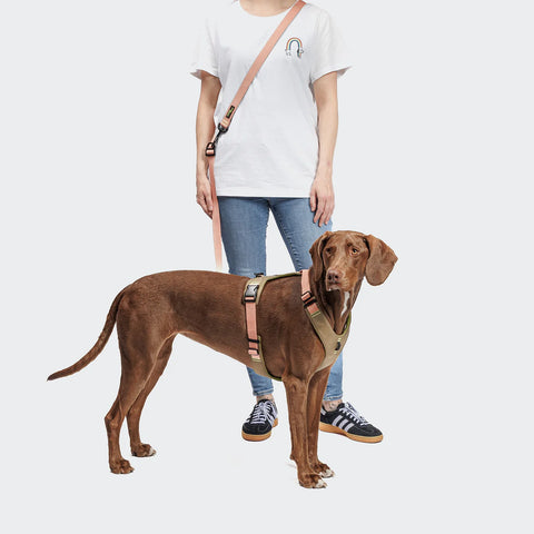 L-1 Hands-Free Leash AKTIV
