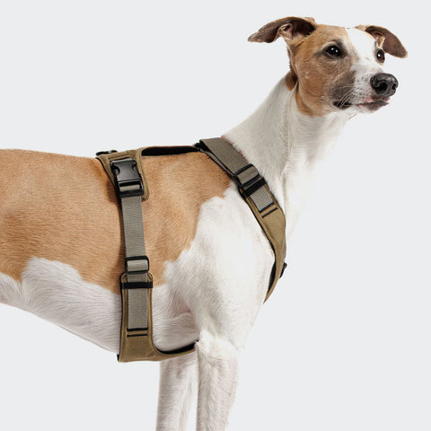 Y-2 Harness AKTIV Cordura