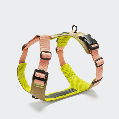 Y-2 Harness AKTIV Cordura