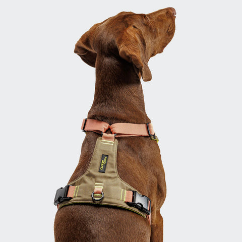 Y-2 Harness AKTIV Cordura