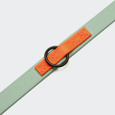 Ipanema Adjustable BioThane Leash