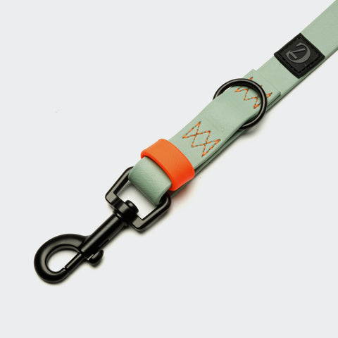 Ipanema Adjustable BioThane Leash
