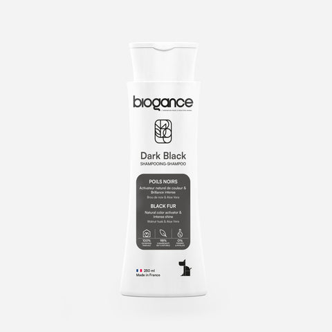 Dark Black Shampoo