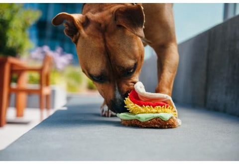 Taco Plush Dog Toy