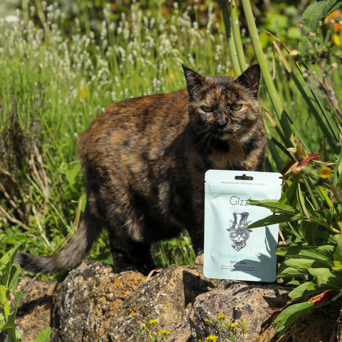 Hairball Control – Free-range Ostrich Soft Cat Treats