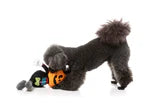 Boo-Ternut Halloween Dog Toy