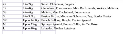 Halloween Ghost Costume